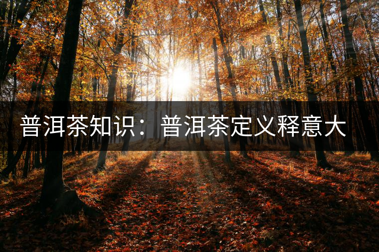 普洱茶知識(shí)：普洱茶定義釋意大全
