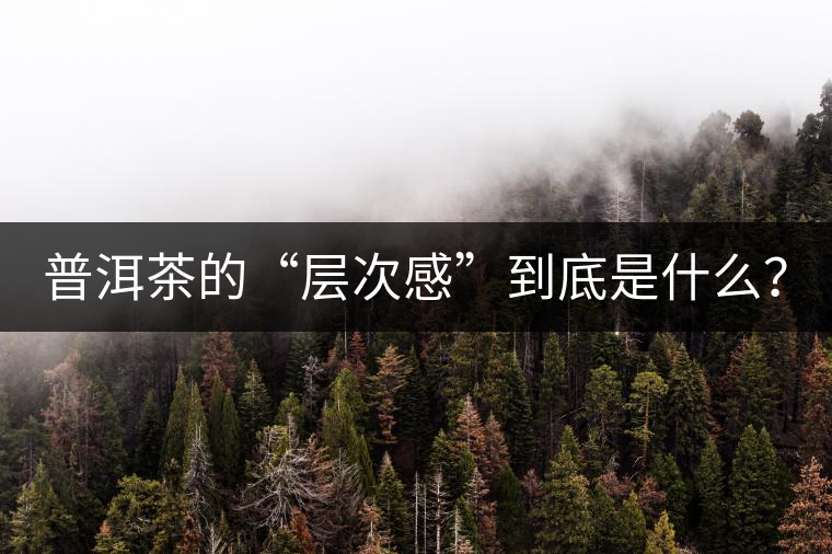 普洱茶的“層次感”到底是什么？