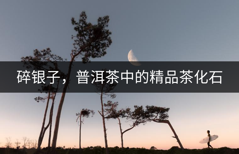 碎銀子，普洱茶中的精品茶化石