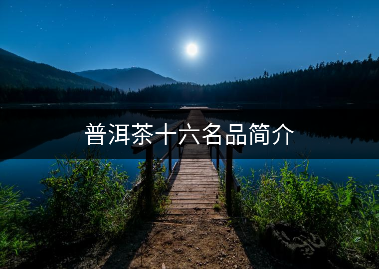 普洱茶十六名品簡介