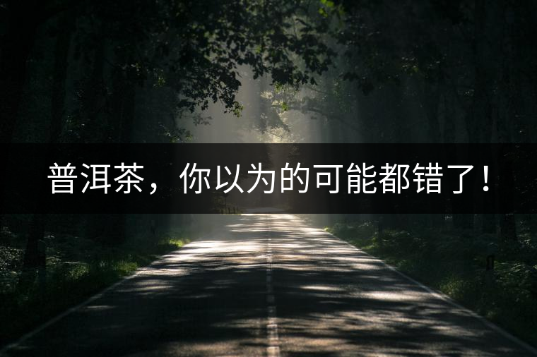 普洱茶，你以為的可能都錯(cuò)了！