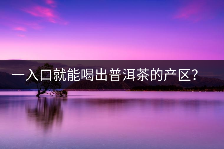 一入口就能喝出普洱茶的產(chǎn)區(qū)？怎么能不讀這篇文章呢？