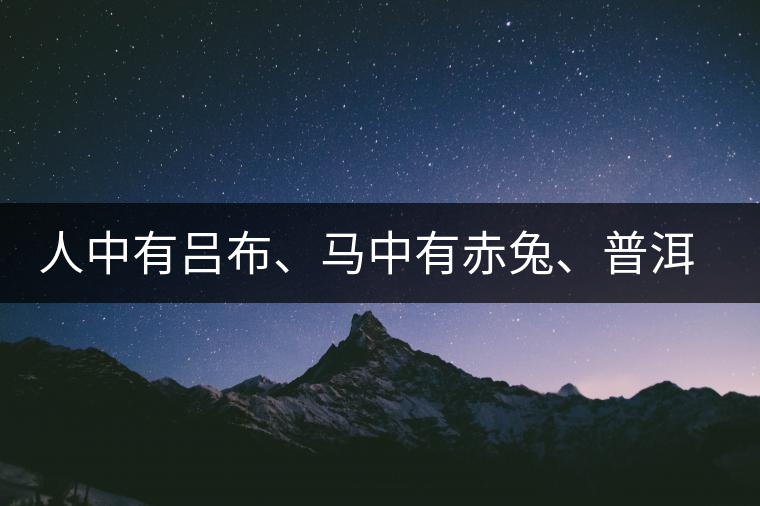 人中有呂布、馬中有赤兔、普洱中有茶化石：碎銀子！