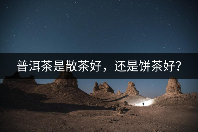 普洱茶是散茶好，還是餅茶好？