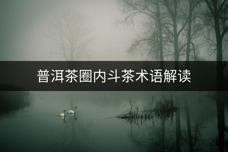 普洱茶圈內(nèi)斗茶術(shù)語解讀