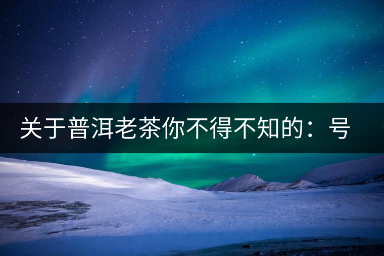 關(guān)于普洱老茶你不得不知的：號級茶、印級茶、七子餅茶