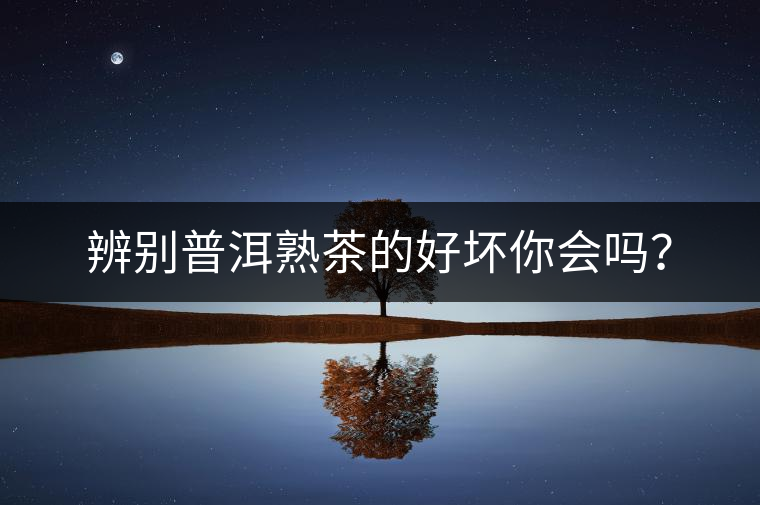 辨別普洱熟茶的好壞你會嗎？