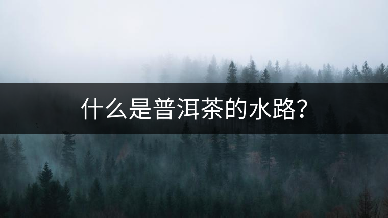 什么是普洱茶的水路？