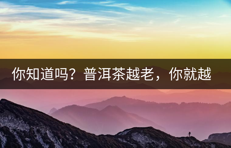 你知道嗎？普洱茶越老，你就越年輕