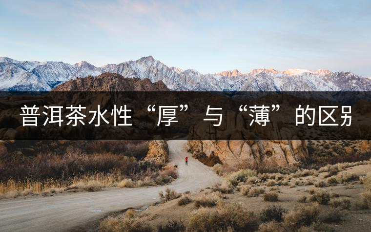 普洱茶水性“厚”與“薄”的區(qū)別！