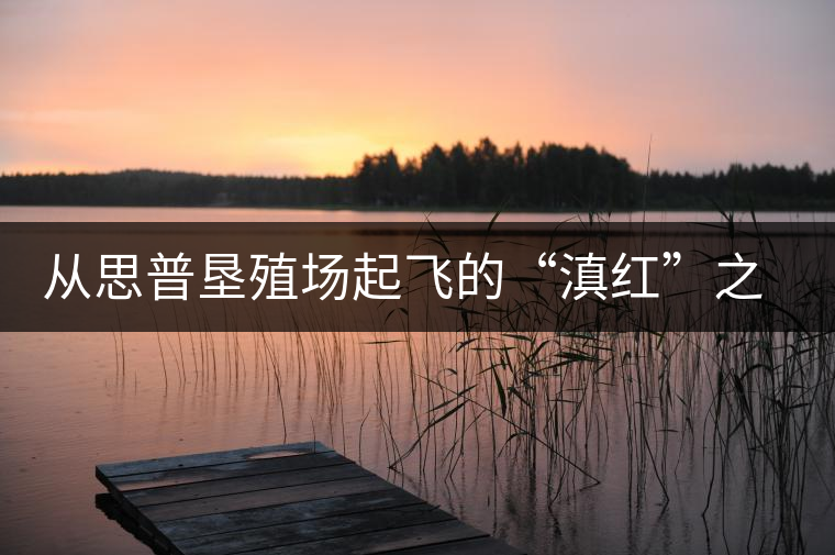 從思普墾殖場起飛的“滇紅”之路