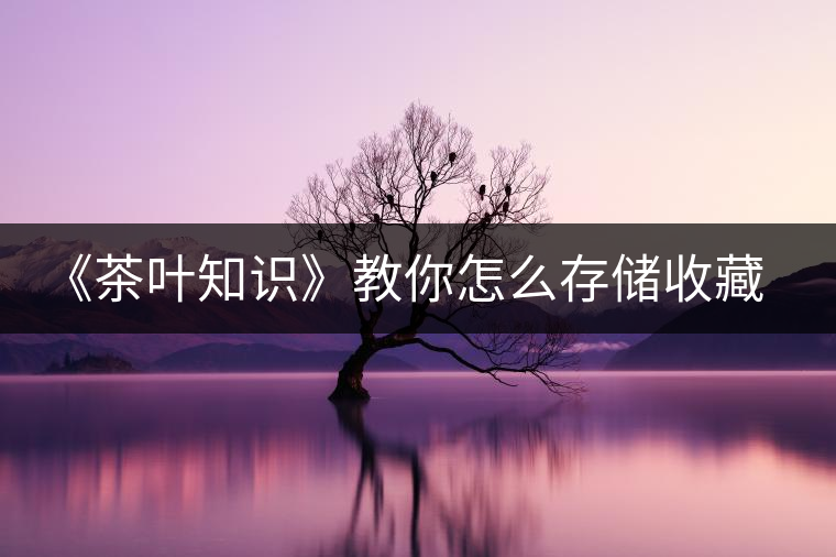 《茶葉知識》教你怎么存儲收藏普洱茶？