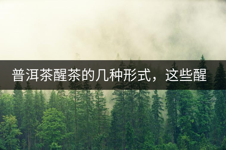 普洱茶醒茶的幾種形式，這些醒茶方法你都會(huì)了嗎？
