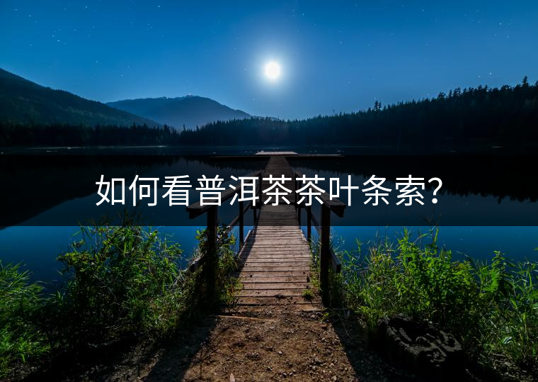 如何看普洱茶茶葉條索？