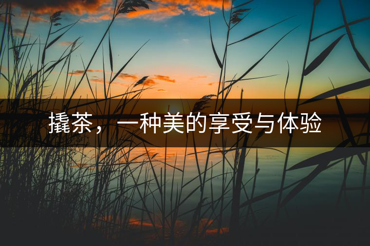 撬茶，一種美的享受與體驗