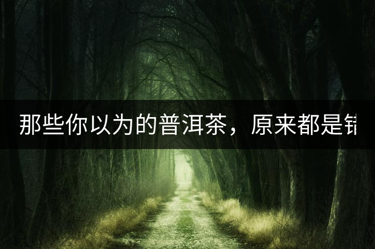 那些你以為的普洱茶，原來都是錯的！