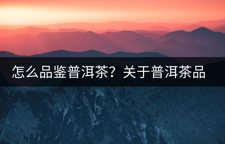 怎么品鑒普洱茶？關(guān)于普洱茶品評的三個(gè)詞