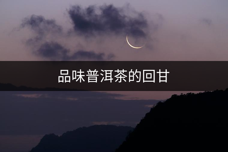 品味普洱茶的回甘