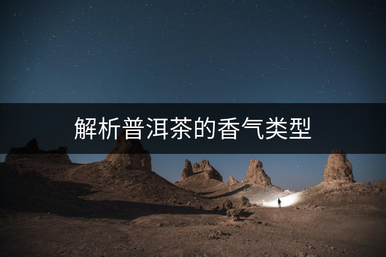解析普洱茶的香氣類型