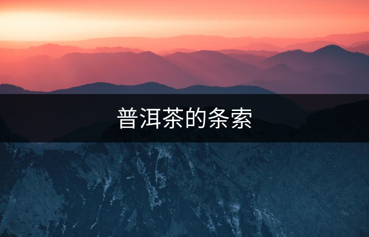 普洱茶的條索