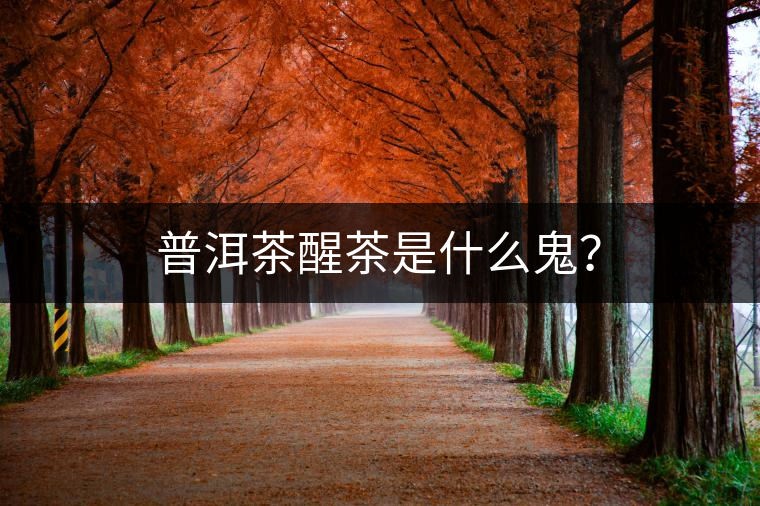普洱茶醒茶是什么鬼？