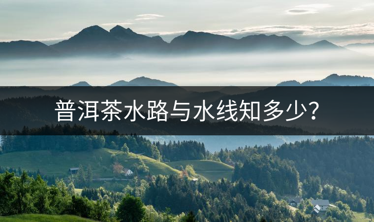 普洱茶水路與水線知多少？