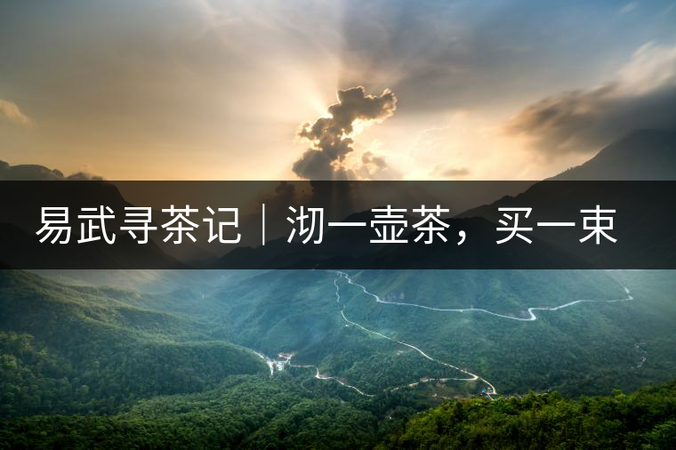 易武尋茶記｜沏一壺茶，買(mǎi)一束花，享半日余暇