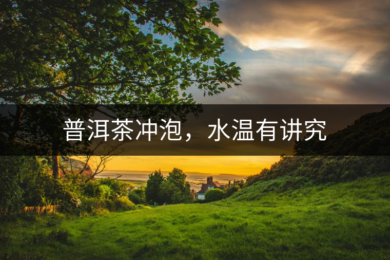 普洱茶沖泡，水溫有講究