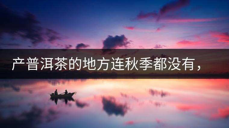 產(chǎn)普洱茶的地方連秋季都沒(méi)有，那到底哪來(lái)的秋茶？這是一篇科普貼