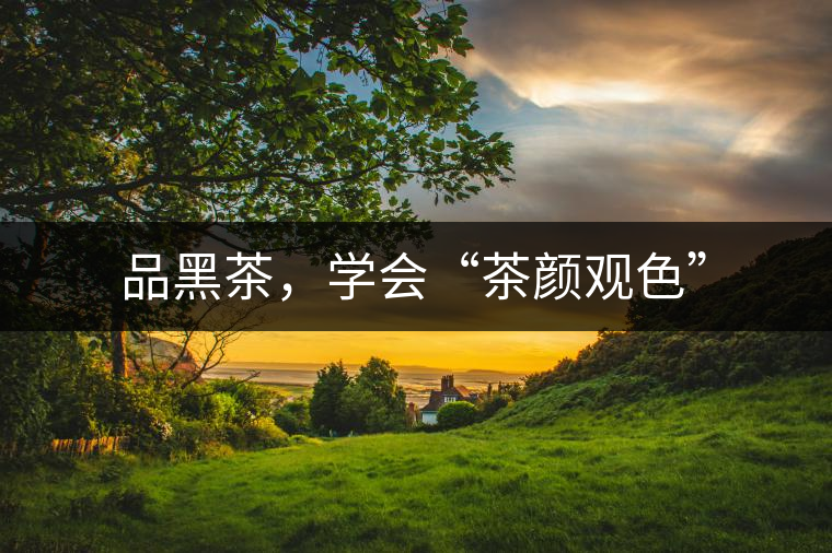 品黑茶，學(xué)會(huì)“茶顏觀色”