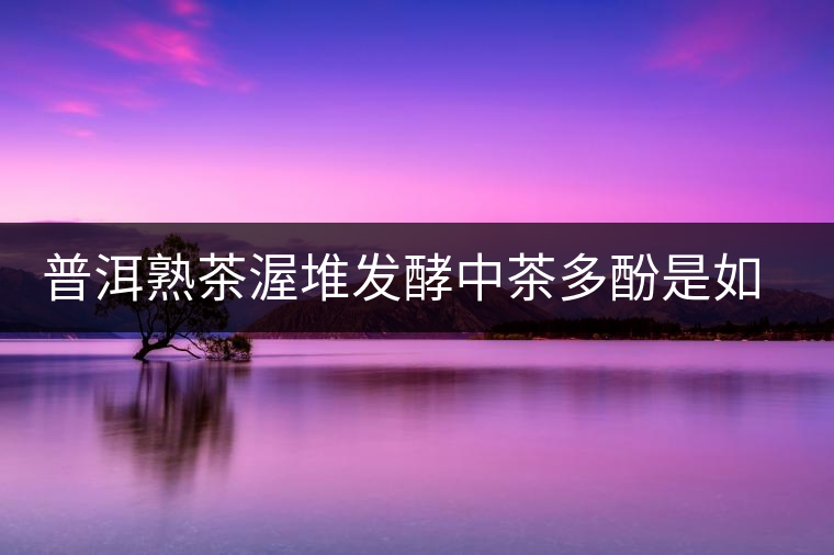 普洱熟茶渥堆發(fā)酵中茶多酚是如何轉(zhuǎn)化的？