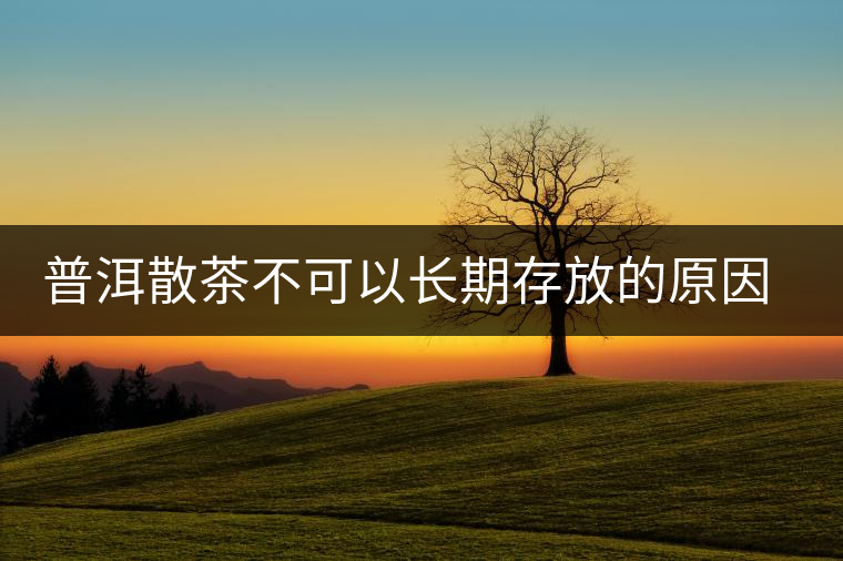 普洱散茶不可以長期存放的原因是什么？