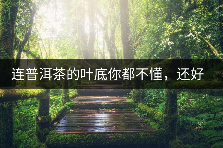 連普洱茶的葉底你都不懂，還好意思說(shuō)懂茶么？