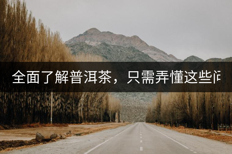 全面了解普洱茶，只需弄懂這些問題！