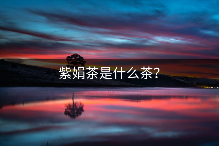 紫娟茶是什么茶？