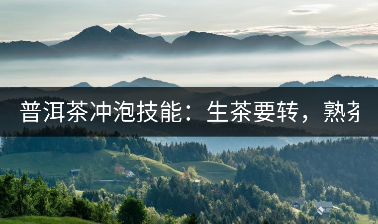 普洱茶沖泡技能：生茶要轉(zhuǎn)，熟茶要柔！