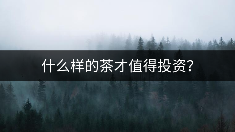 什么樣的茶才值得投資？