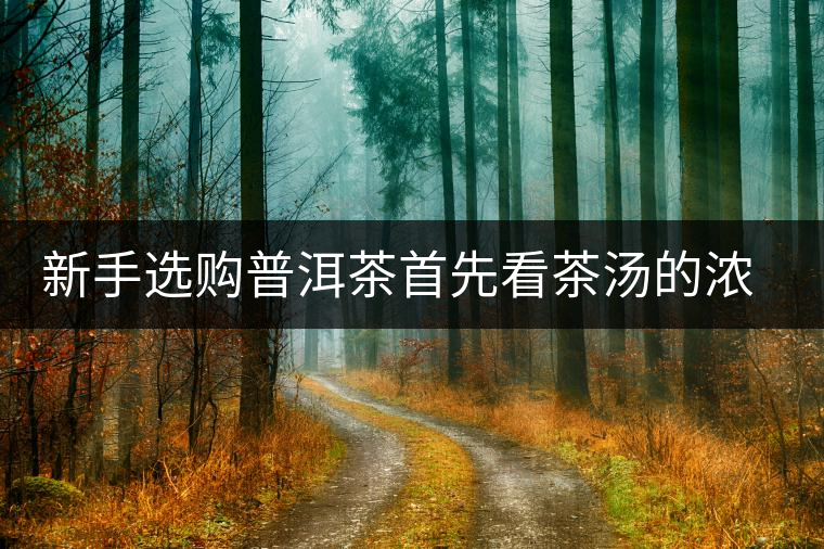 新手選購普洱茶首先看茶湯的濃稠度