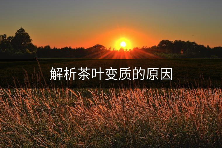 解析茶葉變質(zhì)的原因