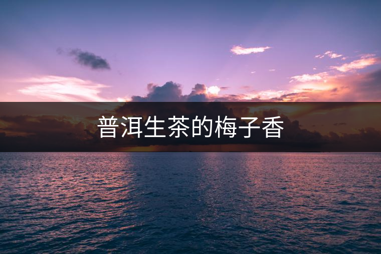 普洱生茶的梅子香
