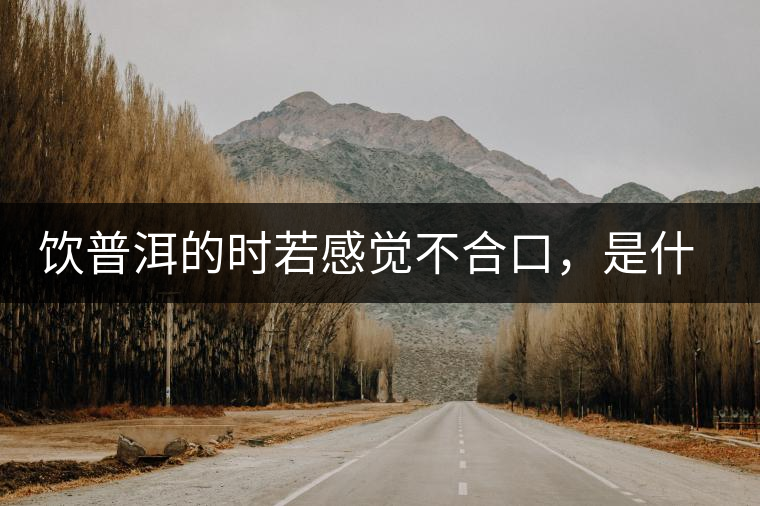 飲普洱的時若感覺不合口，是什么原呢？