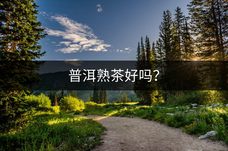 普洱熟茶好嗎？