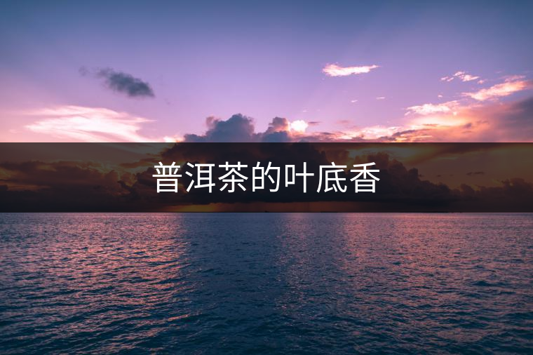 普洱茶的葉底香 普洱茶的葉底香