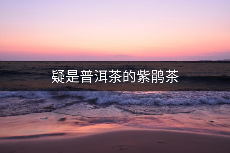 疑是普洱茶的紫鵑茶