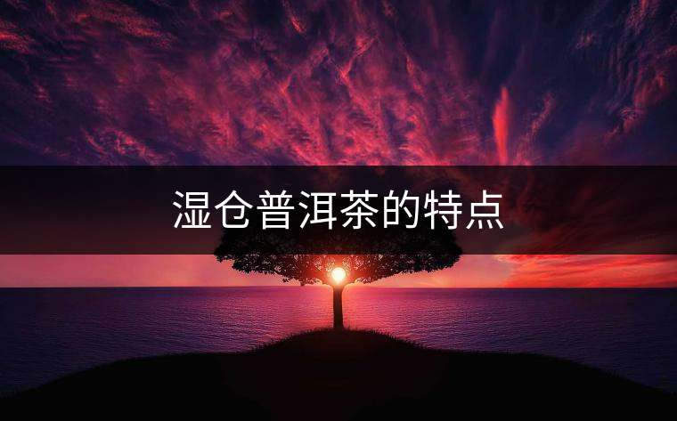 濕倉普洱茶的特點