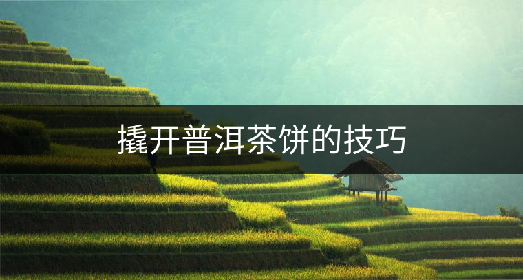 撬開普洱茶餅的技巧