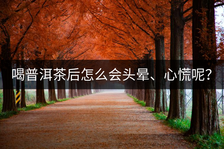 喝普洱茶后怎么會頭暈、心慌呢？
