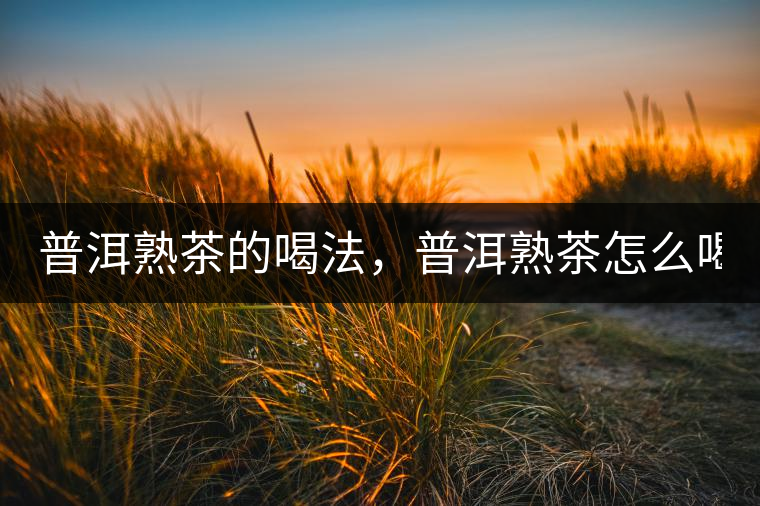 普洱熟茶的喝法，普洱熟茶怎么喝？