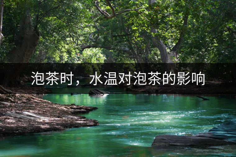 泡茶時(shí)，水溫對(duì)泡茶的影響