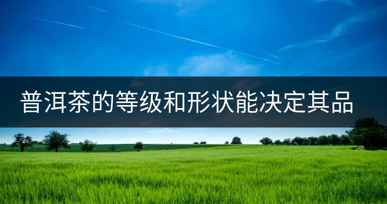 普洱茶的等級和形狀能決定其品質(zhì)嗎？
